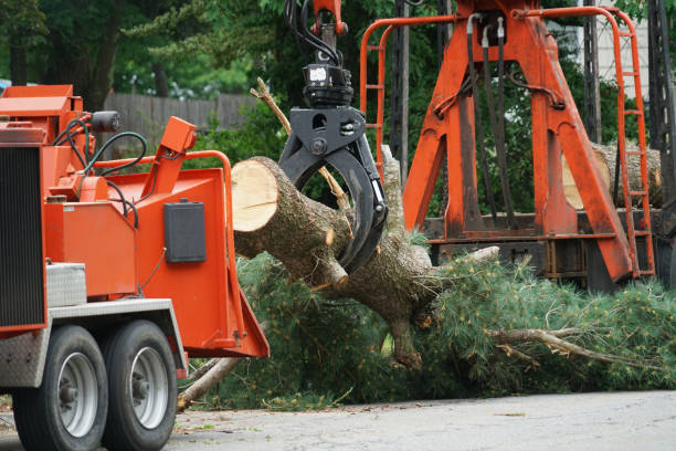 Mulching Services in Swedesboro, NJ